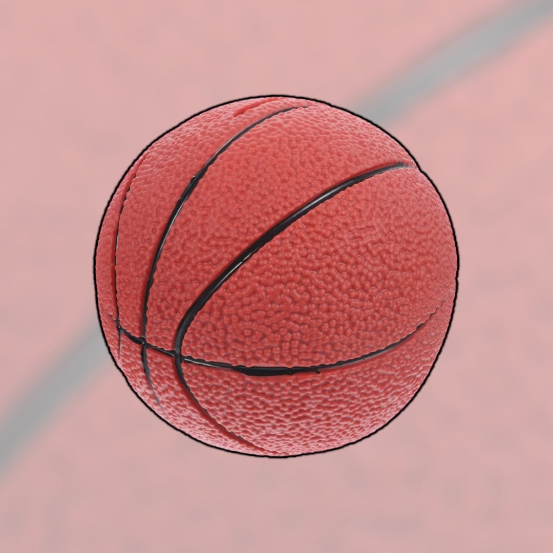 basketball spardose